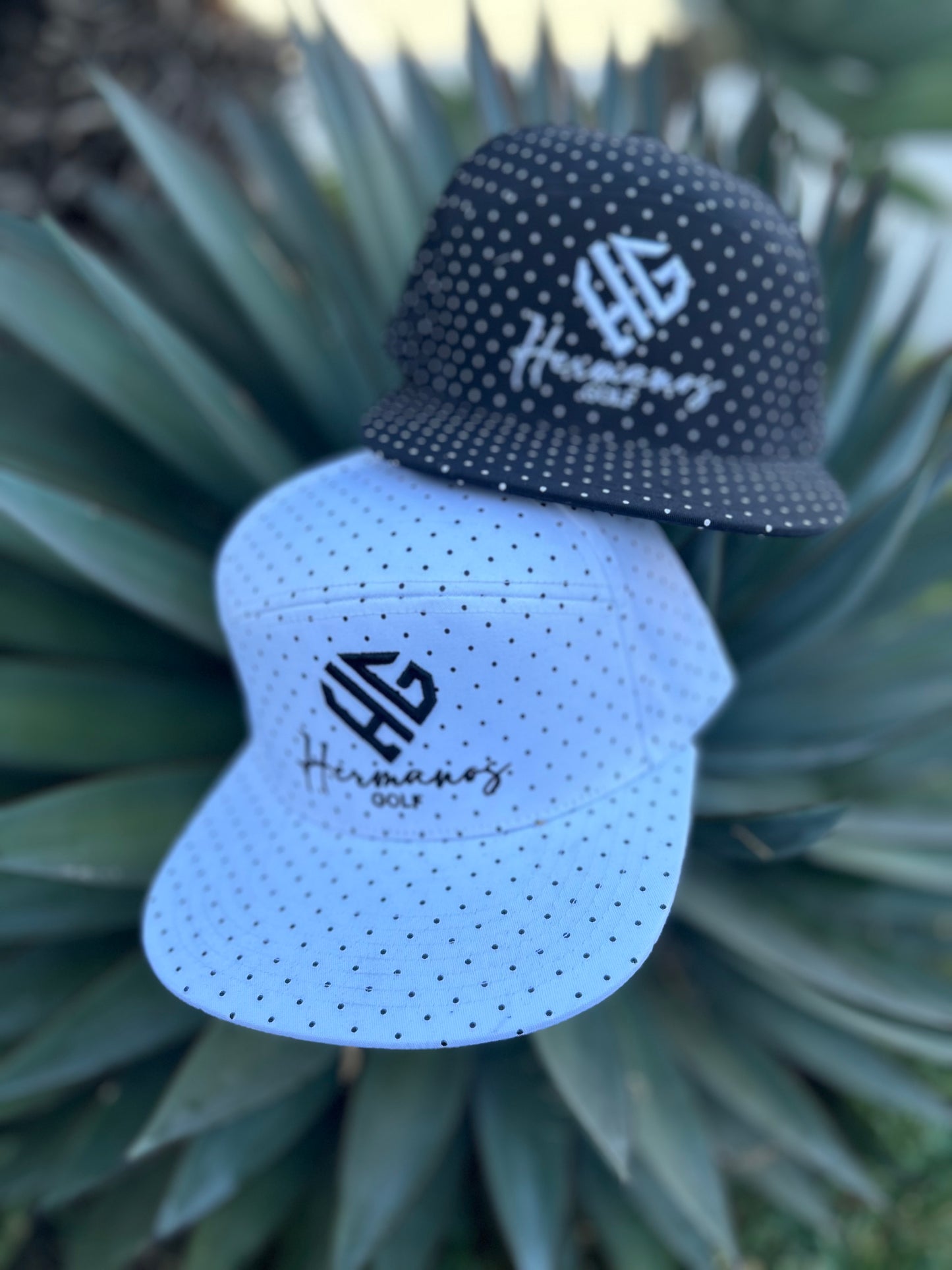 Golf Hat Dot Collection